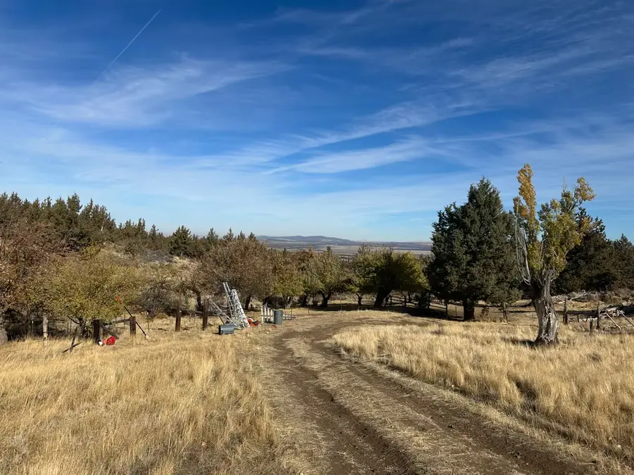 Volunteers working in the McCoin orchard