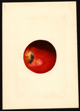 POM00000963 by Shull, James Marion, Wayne