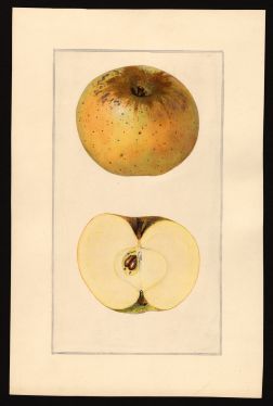 POM00000280 by Arnold, Mary Daisy, Arlington