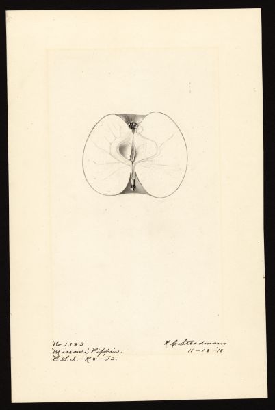 File:USDA Pomological Missouri Pippin POM00000029.jpg