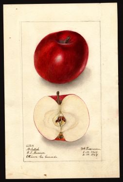 POM00002841 by Passmore, Deborah Griscom, Ottawa