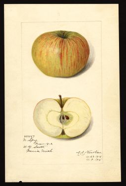 POM00000594 by Newton, Amanda Almira, Michigan