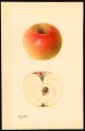Thumbnail for version as of 12:56, 1 July 2026