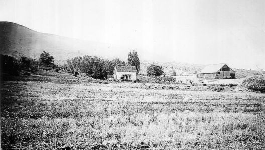 Historical photograph of the Cyrus Ranch near Gray Butte.