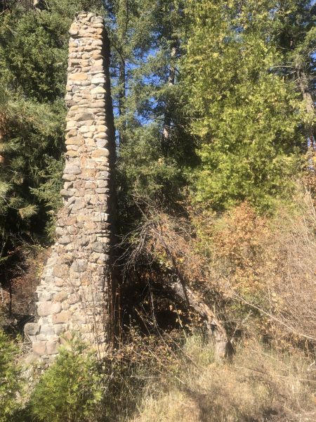 File:El Rancho Tree 5.jpg