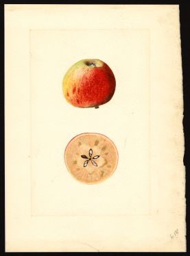 POM00003972 by Shull, James Marion, Virginia