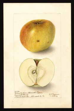 POM00000527 by Passmore, Deborah Griscom, Charlottesville