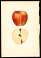 Thumbnail for version as of 16:53, 30 June 2026