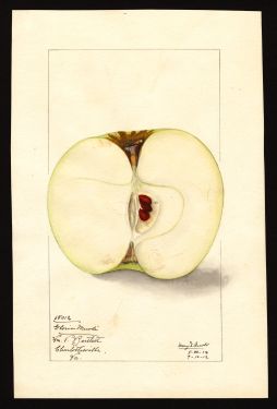 POM00002470 by Arnold, Mary Daisy, Charlottesville