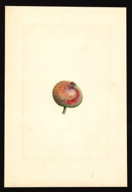 POM00003029 by Shull, James Marion, Anne Arundel