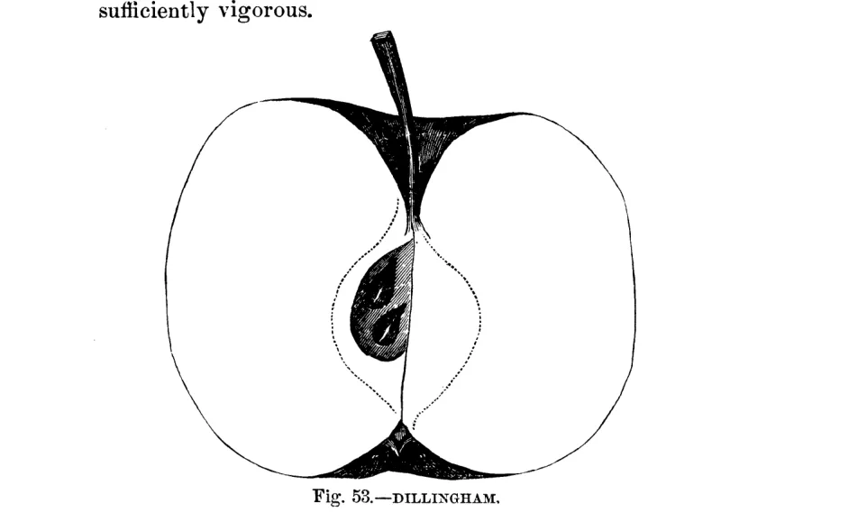 Illustration of Dillingham
