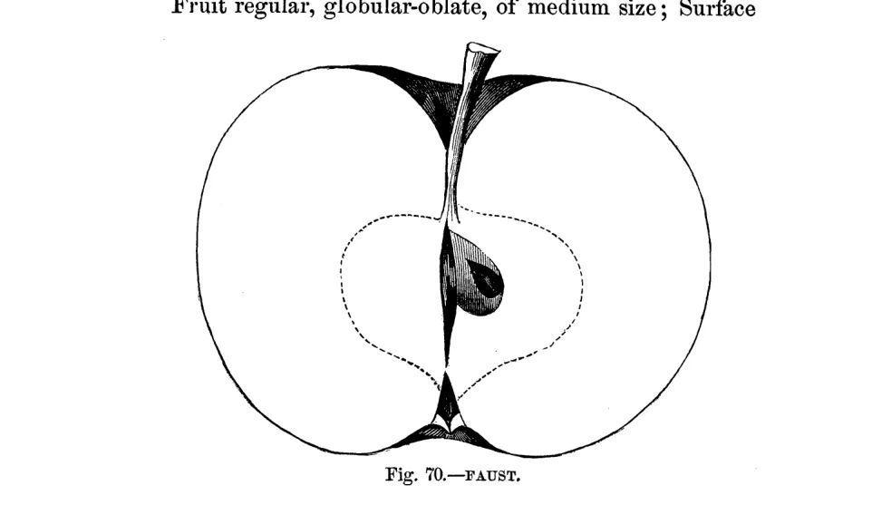Illustration of Faust