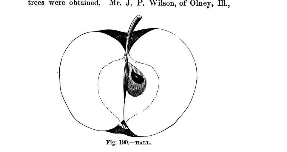 Illustration of Hall
