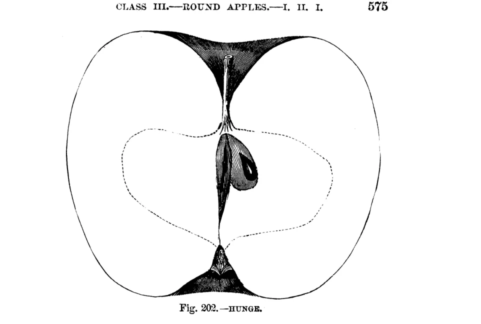 Illustration of Hunge