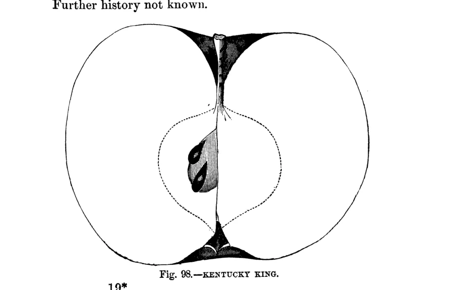 Illustration of Kentucky King