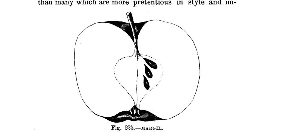 Illustration from Warder, American Pomology: Apples (1867)