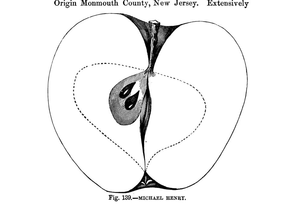 Illustration of Michael Henry