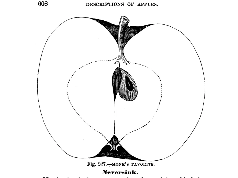 Illustration of Monk's Favorite