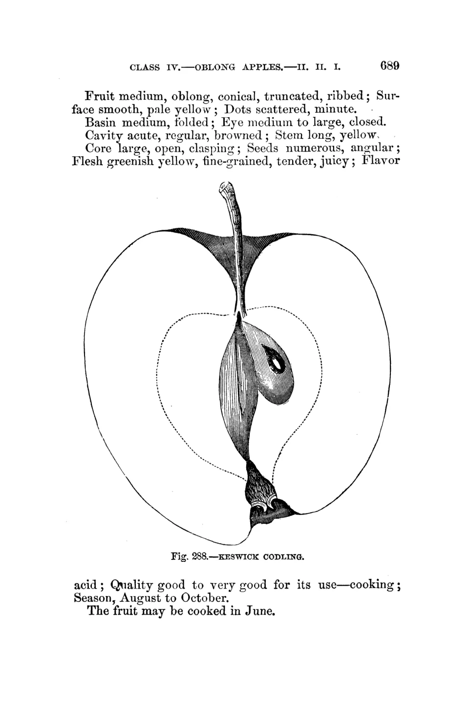 Illustration from Warder, American Pomology: Apples (1867)