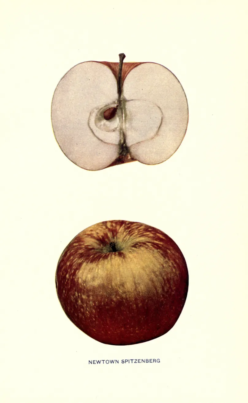 Illustration of New Water