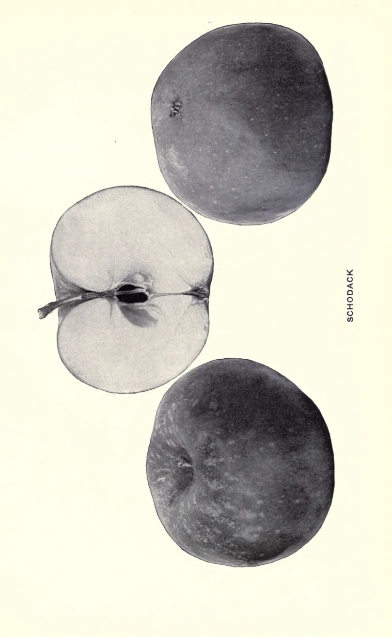 Illustration of Schodack