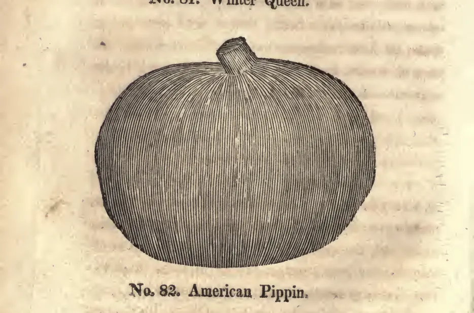 Illustration from Coxe, A View of the Cultivation of Fruit Trees (1817)