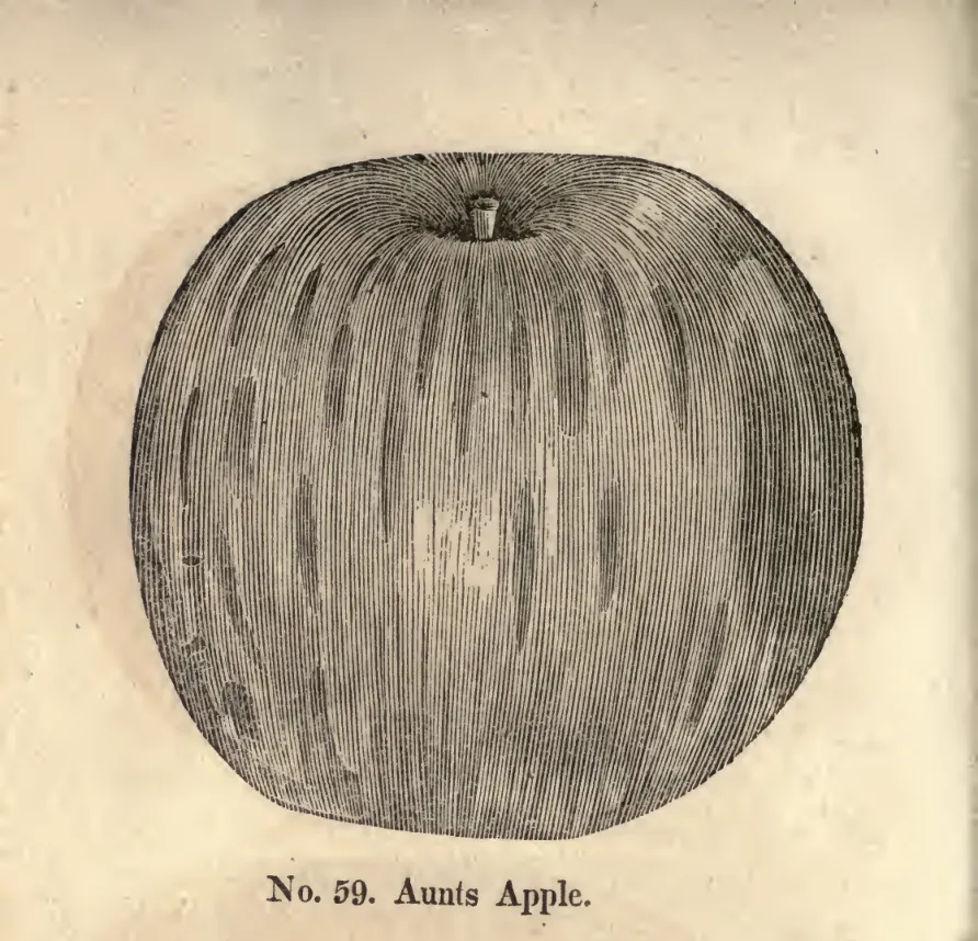 Illustration from Coxe, A View of the Cultivation of Fruit Trees (1817)
