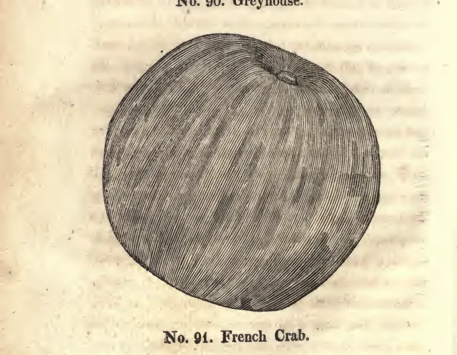 Illustration from Coxe, A View of the Cultivation of Fruit Trees (1817)