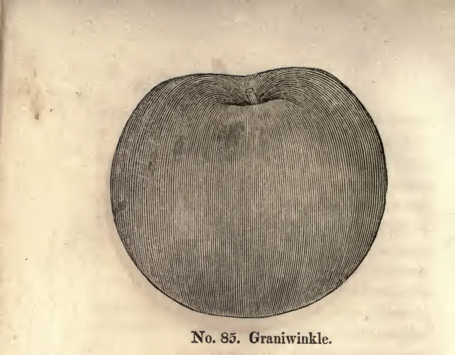 Illustration from Coxe, A View of the Cultivation of Fruit Trees (1817)