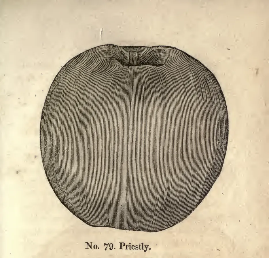 Illustration from Coxe, A View of the Cultivation of Fruit Trees (1817)