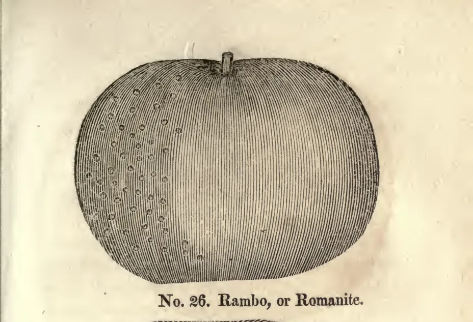 Illustration from Coxe, A View of the Cultivation of Fruit Trees (1817)