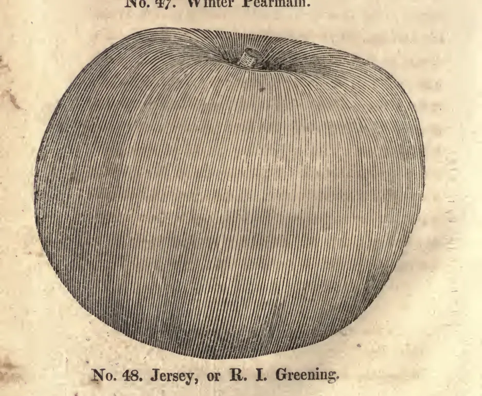 Illustration from Coxe, A View of the Cultivation of Fruit Trees (1817)