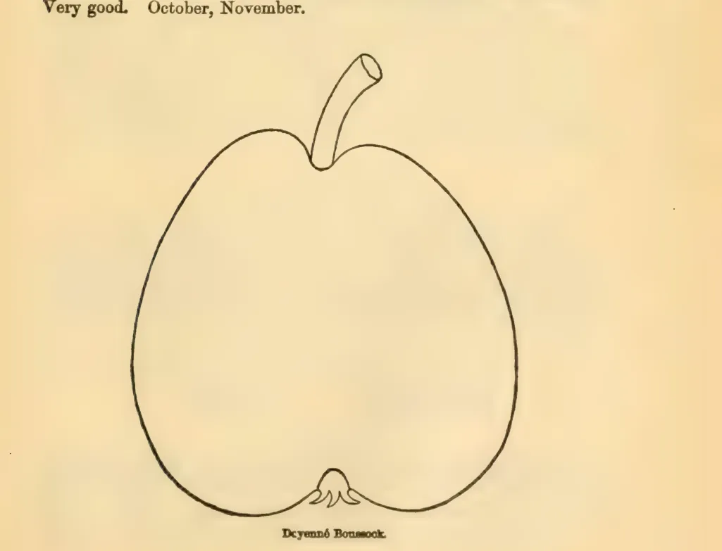 Illustration from Downing, Fruits and Fruit Trees of America (1900)