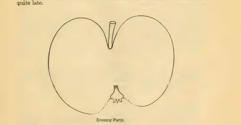 Illustration from Downing, Fruits and Fruit Trees of America (1900)