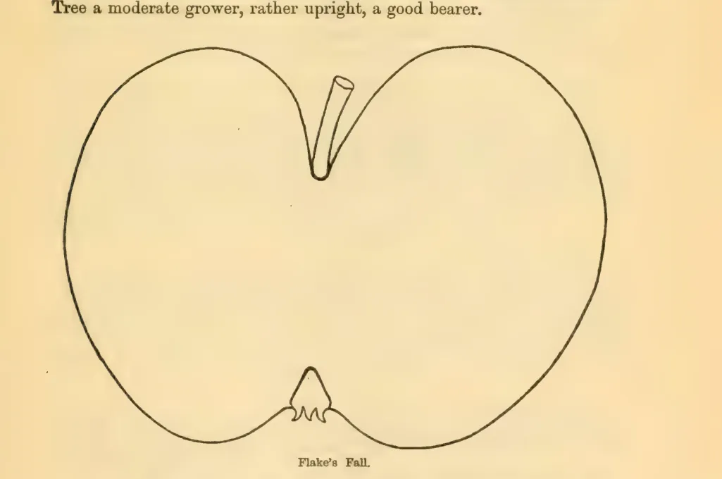Illustration of Flake's Fall
