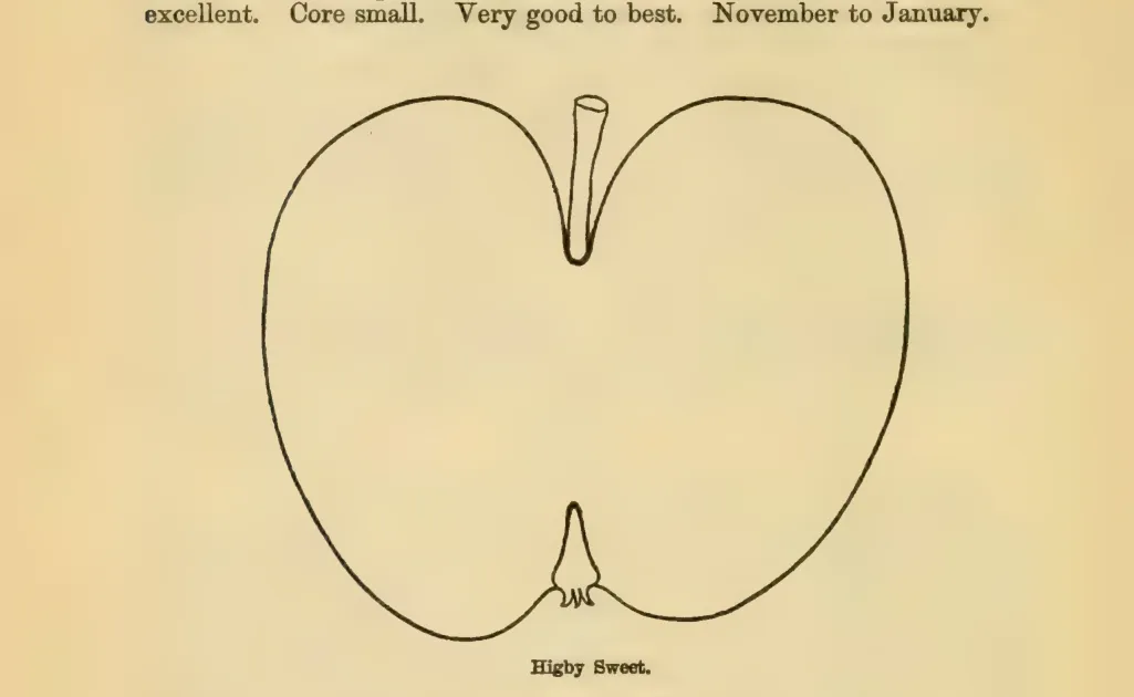 Illustration from Downing, Fruits and Fruit Trees of America (1900)