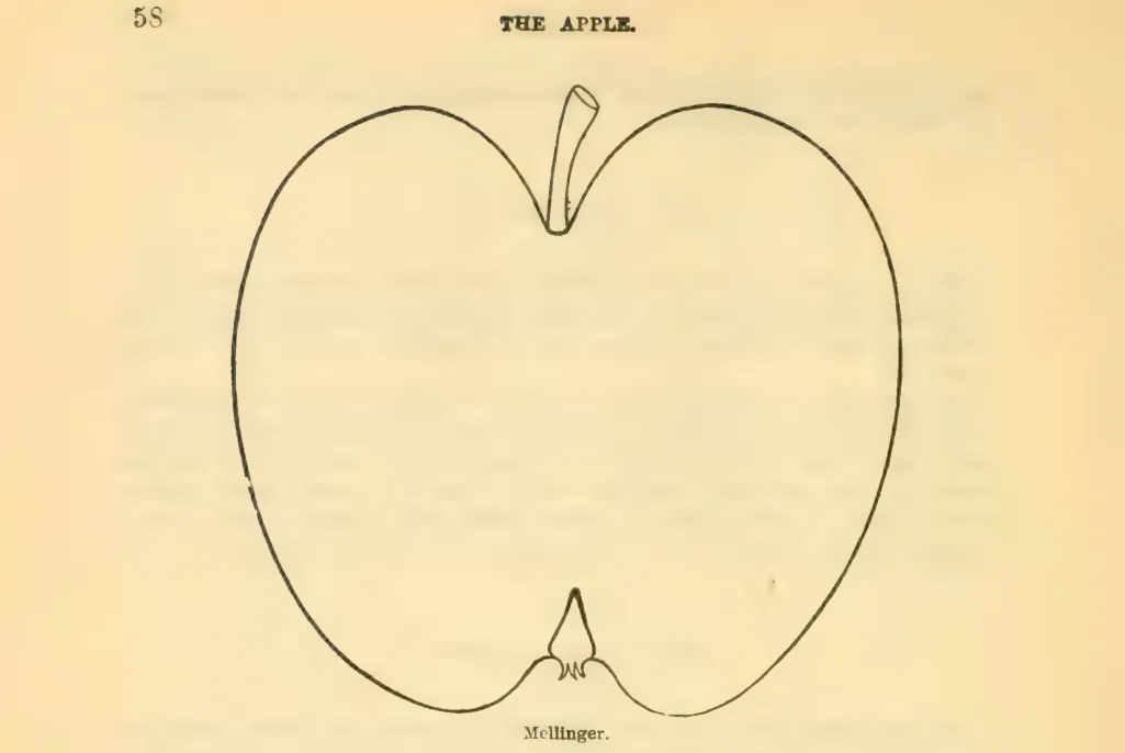 Illustration of Mellinger