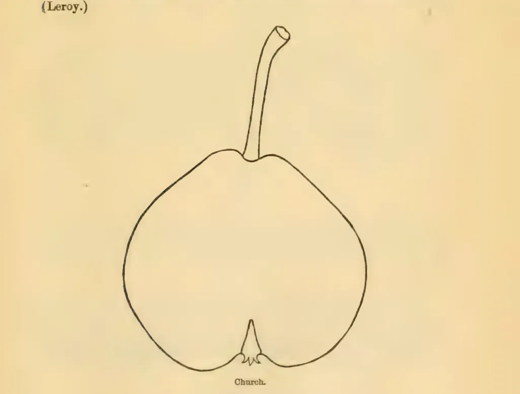 Illustration of Messire Jean