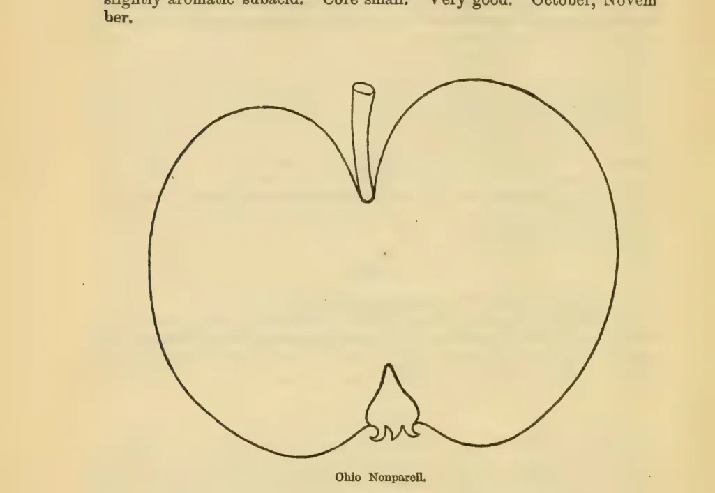 Illustration from Downing, Fruits and Fruit Trees of America (1900)