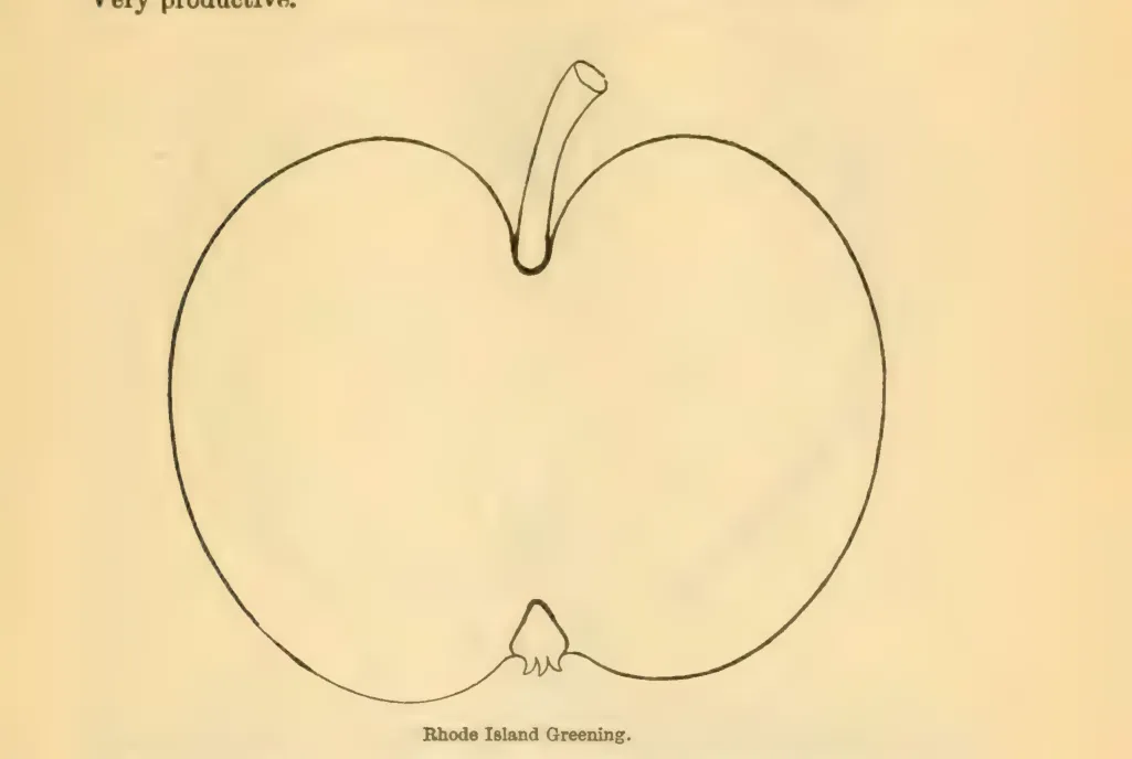 Illustration from Downing, Fruits and Fruit Trees of America (1900)