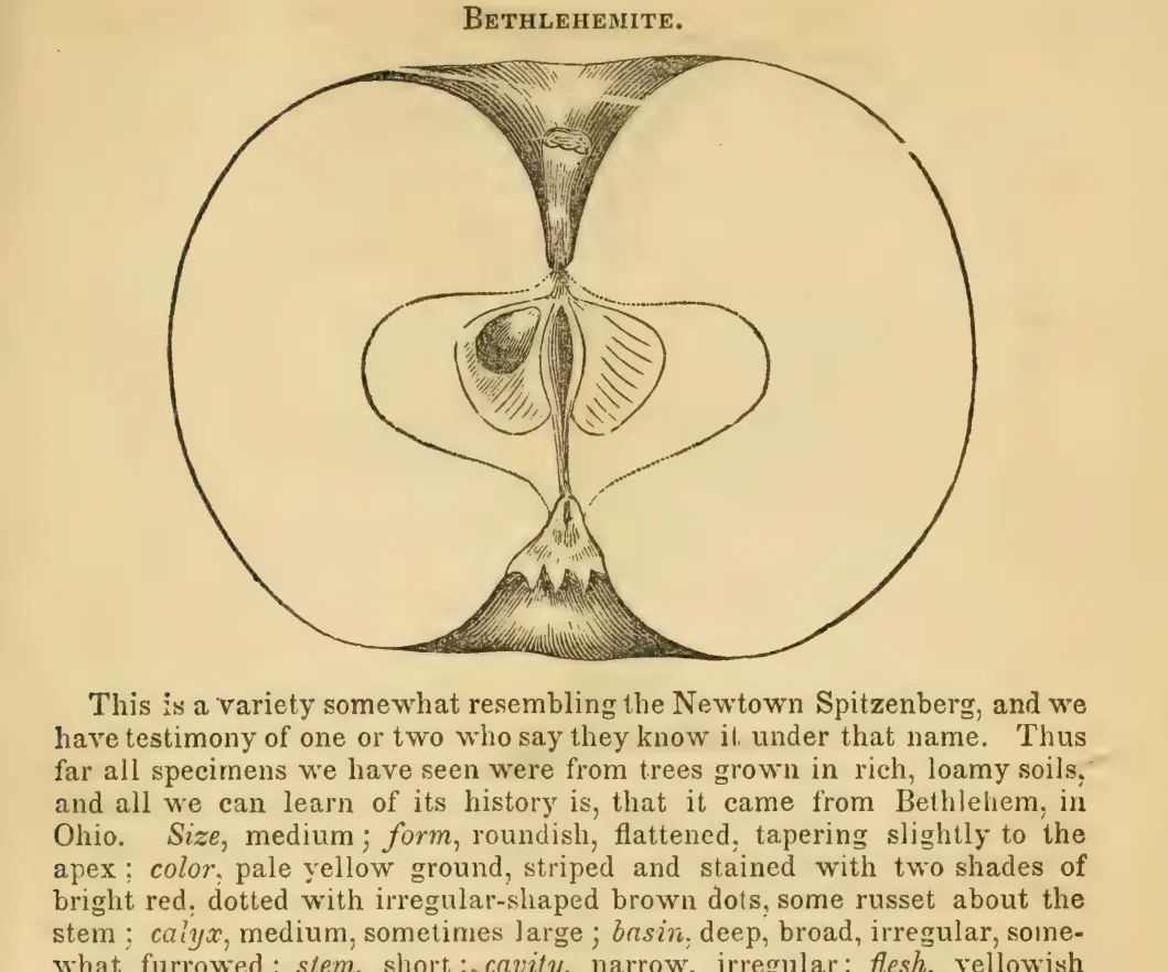 Illustration from Elliott, The Western Fruit Book (1865)