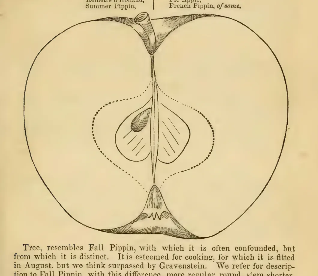 Illustration from Elliott, The Western Fruit Book (1865)