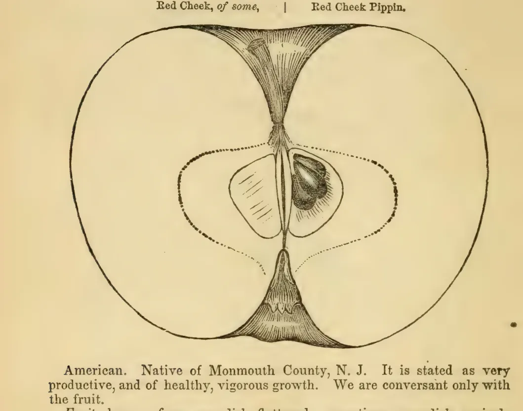 Illustration from Elliott, The Western Fruit Book (1865)