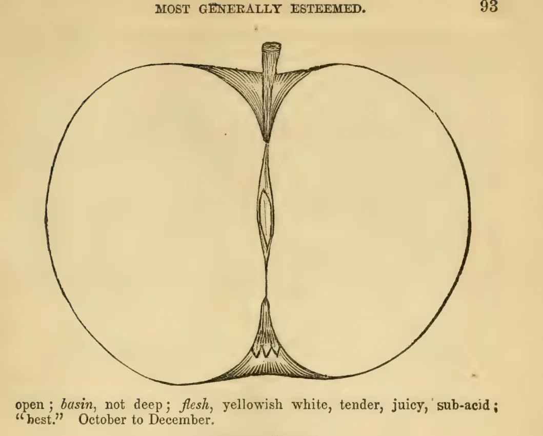 Illustration from Elliott, The Western Fruit Book (1865)
