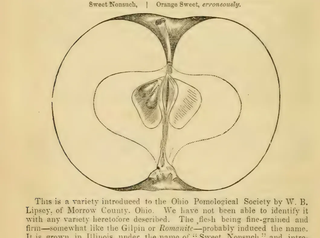Illustration from Elliott, The Western Fruit Book (1865)