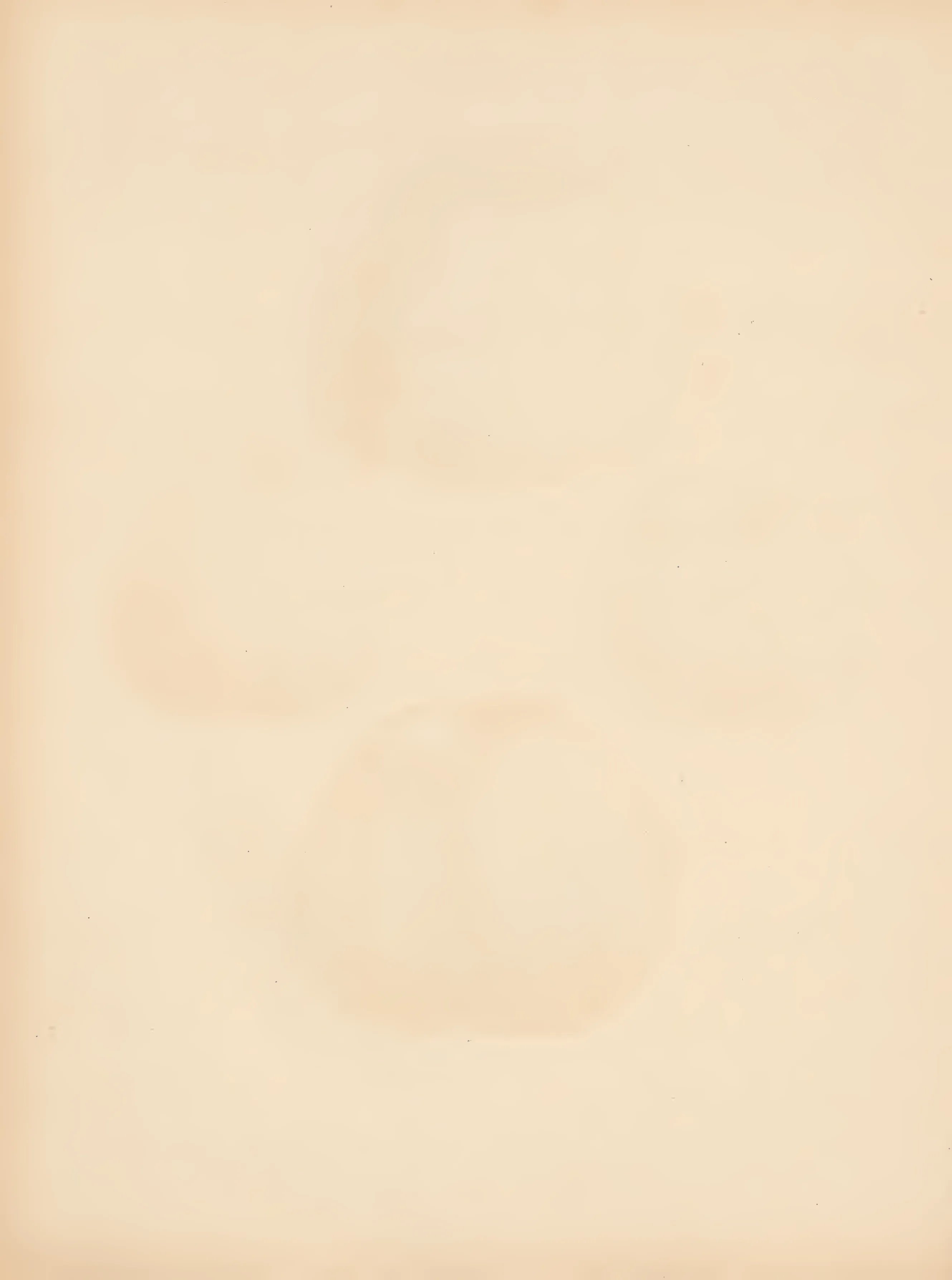 Illustration from The Herefordshire Pomona (1876–1885)