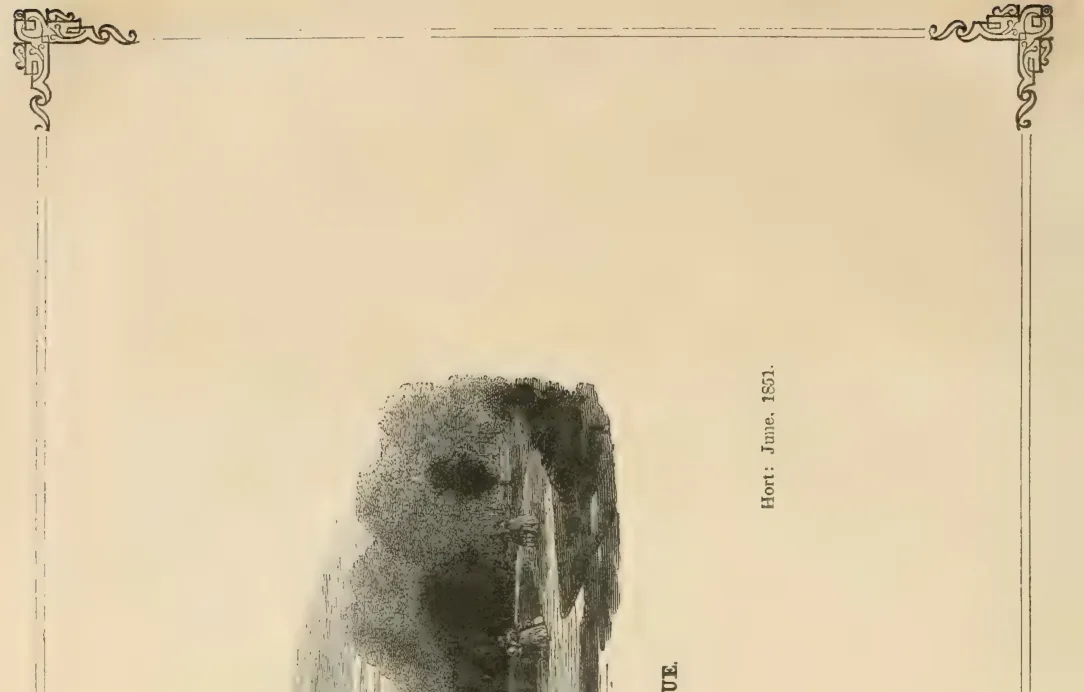 Illustration of Beurre Gris