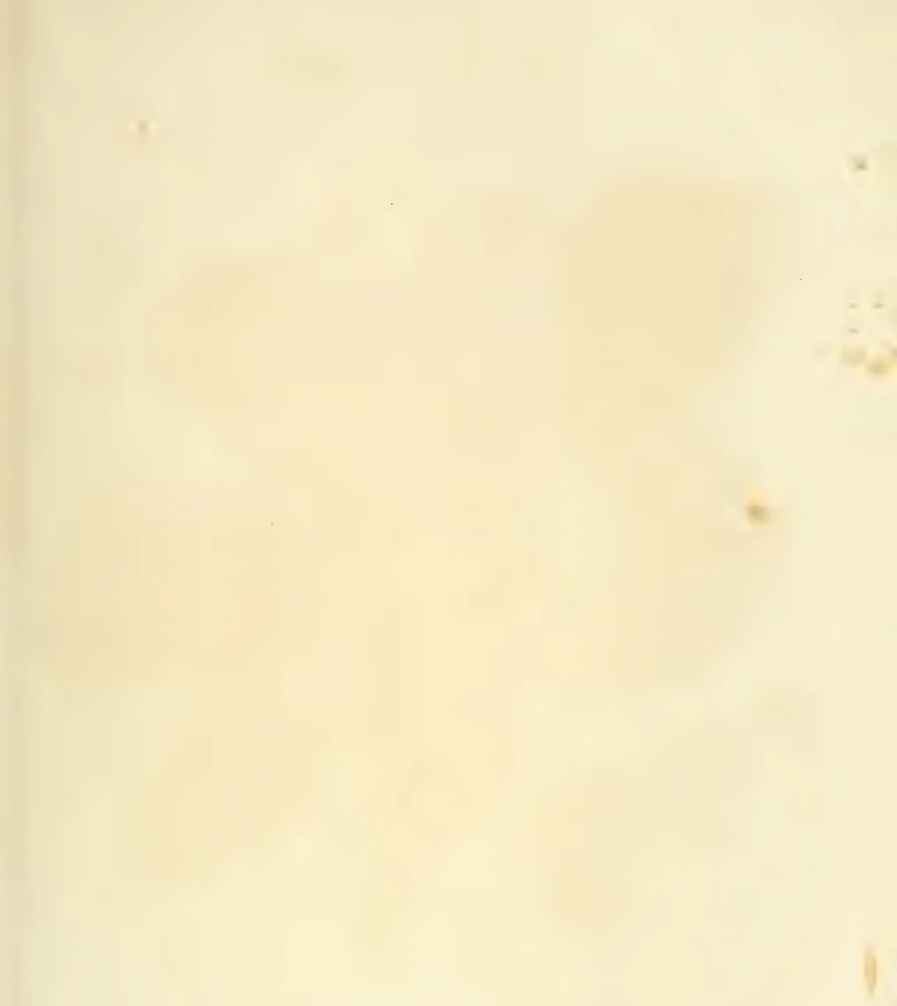 Illustration from Hovey, The Fruits of America (1852)