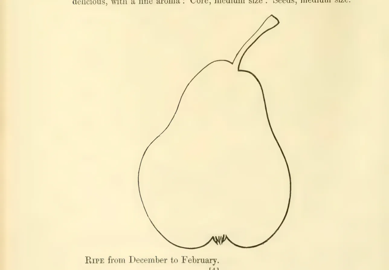 Illustration from Hovey, The Fruits of America (1852)