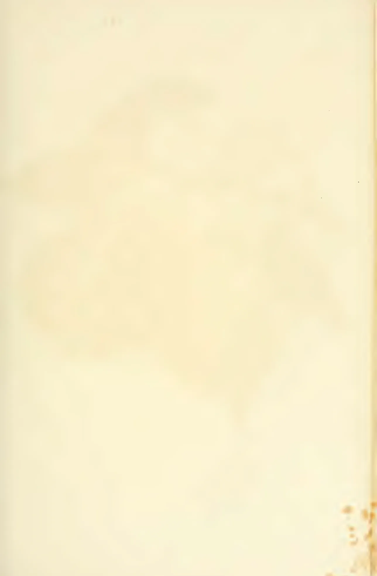 Illustration from Hovey, The Fruits of America (1852)